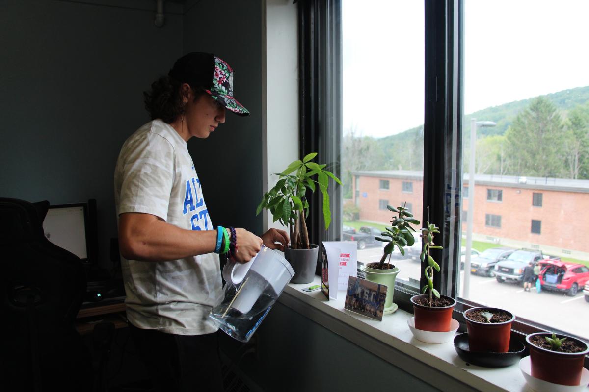 Student watering plants on a window sill